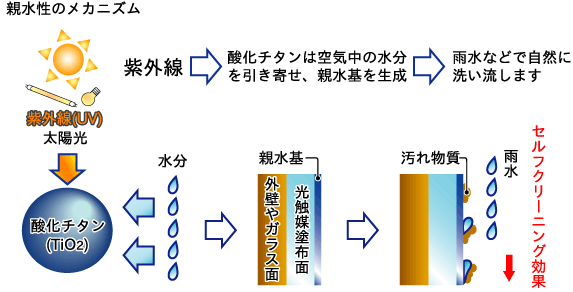 親水性のメカニズム