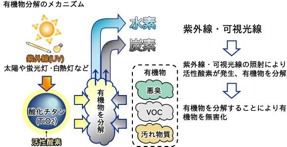 有機分解のメカニズム