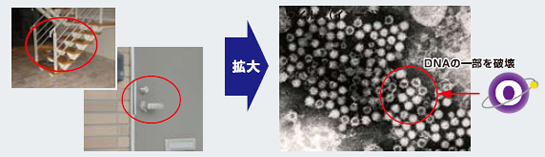 抗ウィルス・抗菌